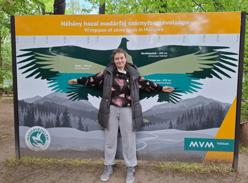 Képernyőkép 2026-04-23 181615.png