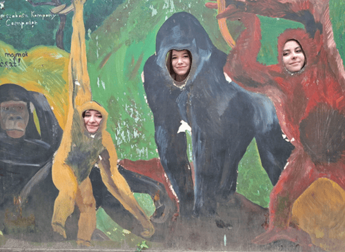 Képernyőkép 2026-04-23 181628.png